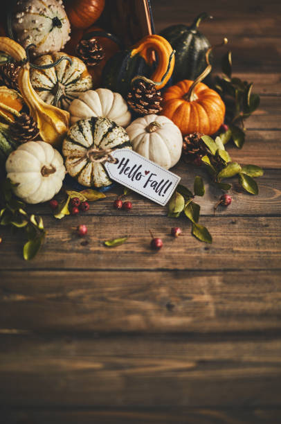 istock Welcoming fall with pumpkin assortment still life and hello fall message 1038553120
