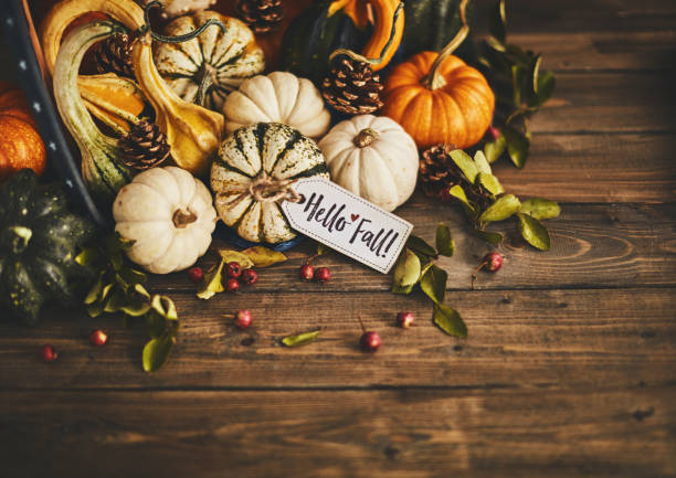 istock Welcoming fall with pumpkin assortment still life and hello fall message 1038553122