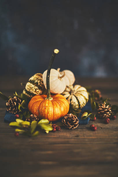istock Fall arrangement with pumpkin assortment still life 1038553128