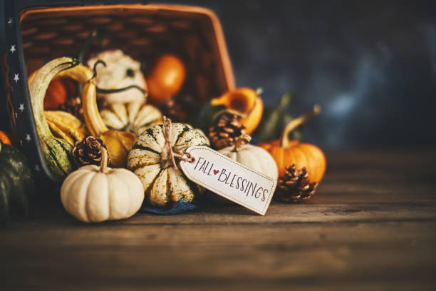 istock Welcoming fall with pumpkin assortment still life and blessings greeting 1038553136