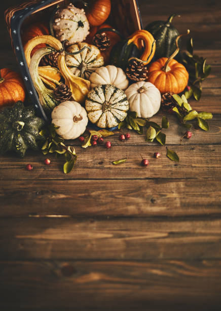 istock Fall background with pumpkin assortment still life 1038553140