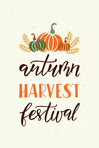 Autumn Harvest Festival - hand drawn lettering phrase and autumn harvest symbols on beige background. Harvest fest poster design. Template for postcard or invitation card, banner. Vector illustration.