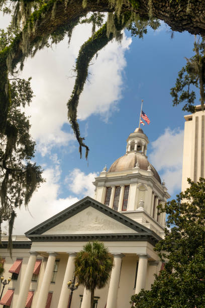 istock Moss Grows on Trees Framing the Capital Building in Tallahasse Florida 1038556626