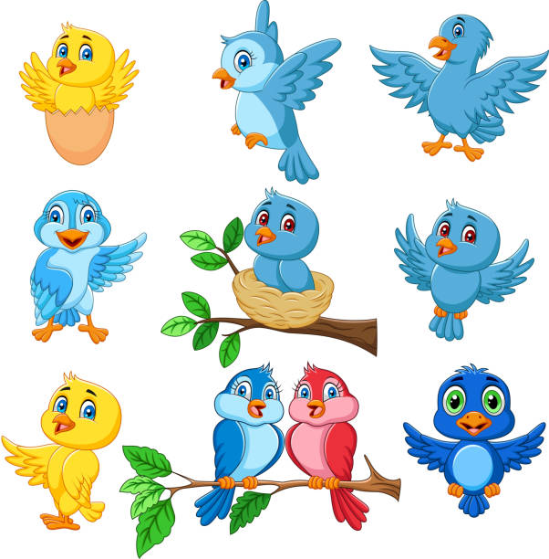 4,460 Cartoon Birds Nest Stock Photos, Pictures & Royalty-Free Images - iStock 4,460 Cartoon Birds Nest Stock Photos, Pictures & Royalty-Free Images - iStock