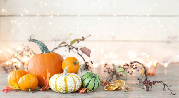 Autumn pumpkins, gourds and holiday decor arranged against an old white wood background with glowing and sparkly Christmas lights. Very shallow depth of field for effect.