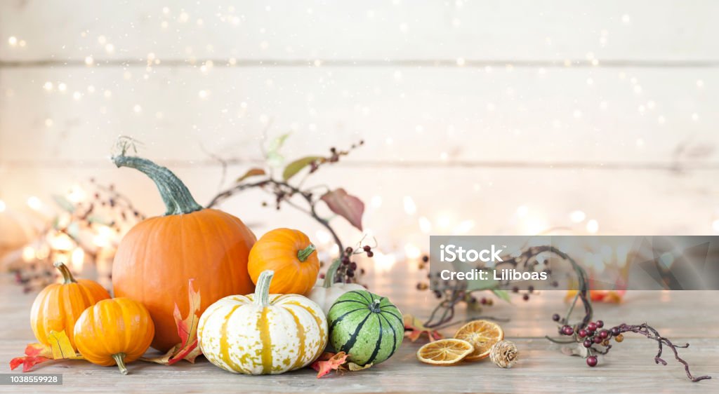 Autumn holiday pumpkin arrangement against an old white wood background Autumn pumpkins, gourds and holiday decor arranged against an old white wood background with glowing and sparkly Christmas lights. Very shallow depth of field for effect. Autumn Stock Photo