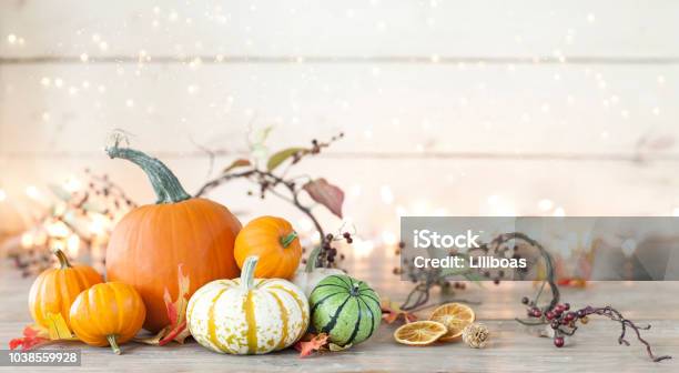 Autumn Holiday Pumpkin Arrangement Against An Old White Wood Background Stock Photo - Download Image Now