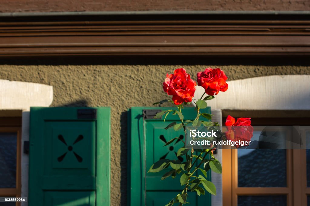 rose ed sulla facciata quadro con persiane verde finestra - Foto stock royalty-free di Antico - Condizione
