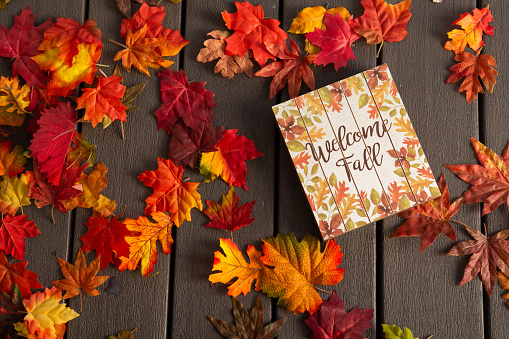 Sympathy card with colored autumn leaves and spanish text: Sincere condolences