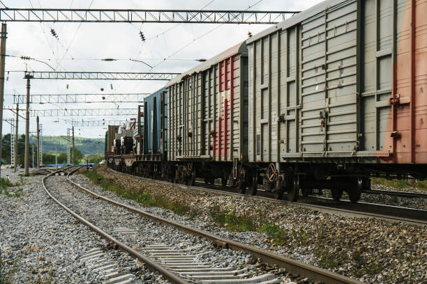 istock wagons with a goose on the railway 1038570650