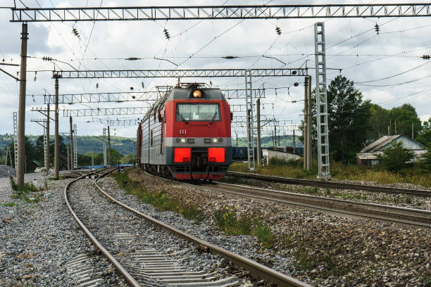 istock wagons with a goose on the railway 1038573412