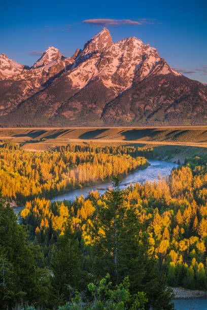 Snake River Overlook at Autumn The Tetons viewed from the iconic Snake River Overlook at autumn snake river valley grand teton national park stock pictures, royalty-free photos & images