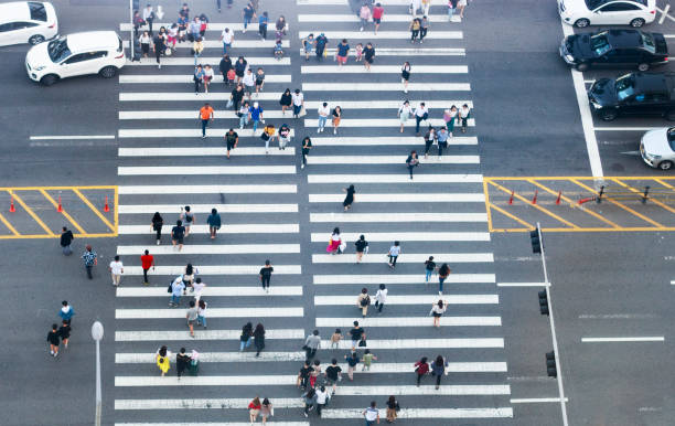 istock Pedestrian crossing and people top view 1038587526