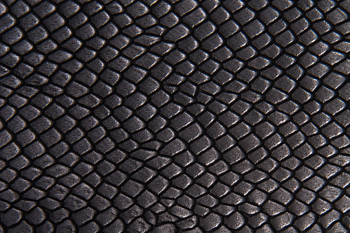 Background texture black leather reptiles