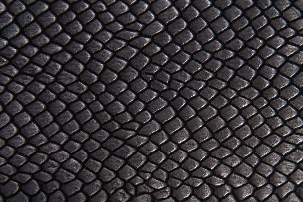 Photo of Background texture black leather reptiles