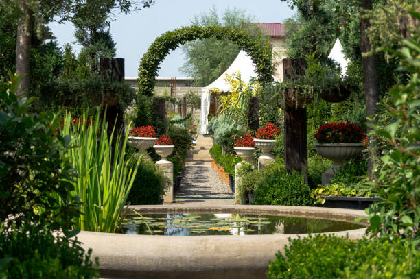 istock Woven plants forming an arch in a beautiful garden 1038595890