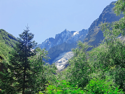 Caucasus mountains and forest under clear blue sky