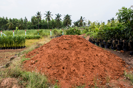red soil ground for plants and trees closeup village mud