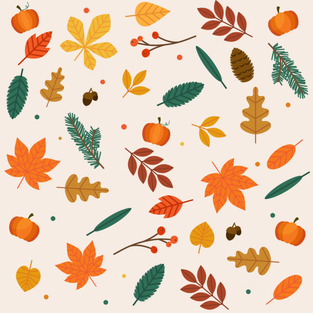 秋天的樹葉集。平面設計現代向量圖的概念。 - 季節 插圖 幅插畫檔、美工圖案、卡通及圖標