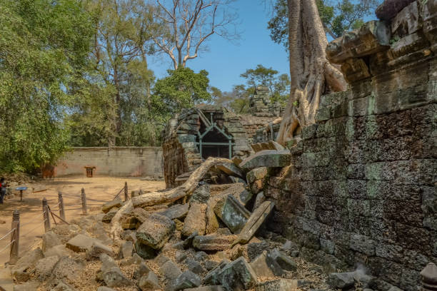 istock Broken ruin in ta prohm temple area in siem reap cambodia 1038621082