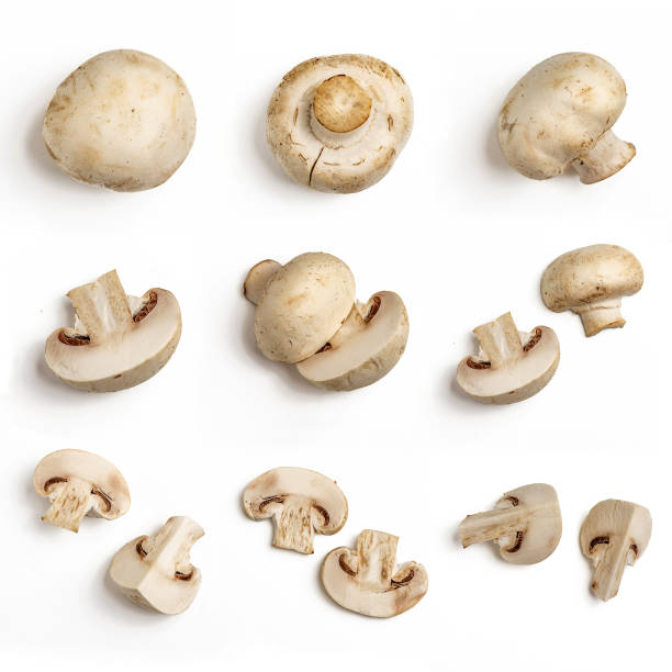 Set of fresh whole and sliced champignon mushrooms isolated on white background. Top view stock photo