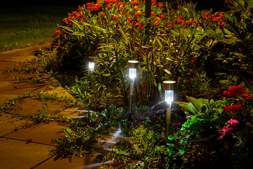 Night garden LED lights with a blue glow.