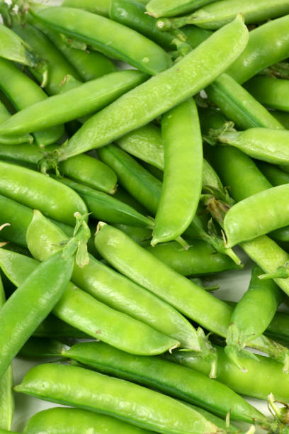istock Fresh Green pea on a white background 1038633062