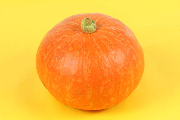 istock Pumpkin on a yellow background 1038633300
