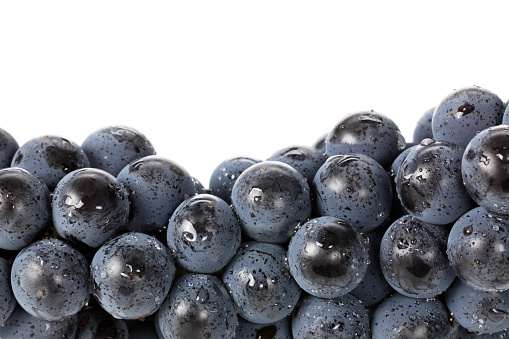 Black grapes isolated on white background