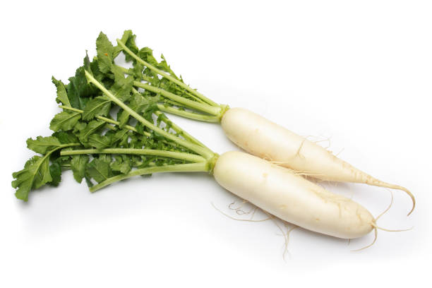 istock Daikon radishes isolated on white background 1038633882