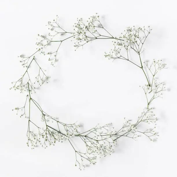 Frame made of white flowers on white background. Flat lay, top view, copy space, square