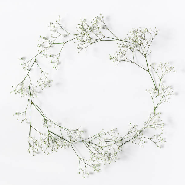 frame made of white flowers on white background. flat lay, top view, copy space, square - gypsophila imagens e fotografias de stock