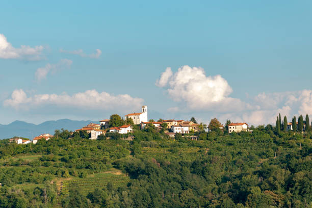 istock Wine villages in Slovenia 1038658320