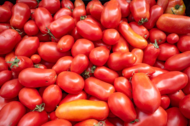 istock Tomatoes on the market 1038660748