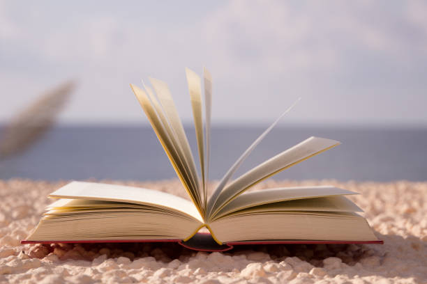 istock open book at the sea 1038661636