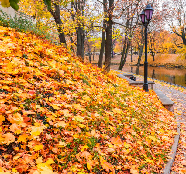 istock Autumn in city park, Riga, Latvia 1038661972
