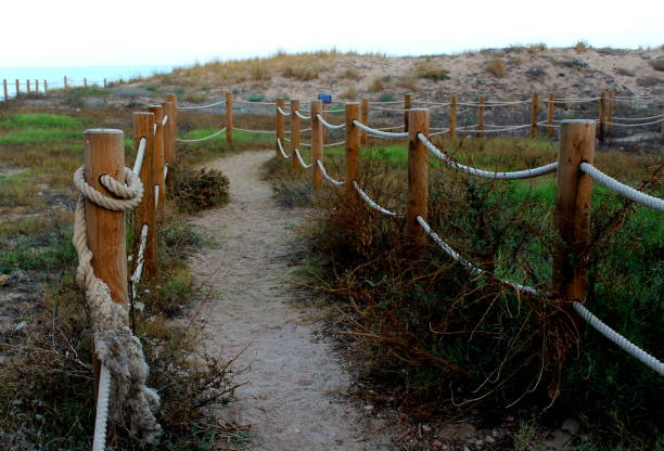 istock A path limited by wooden stakes through a sand dune 1038666582