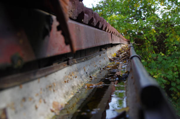 Water and leaves in a clogged gutter. No outflow from the roof.