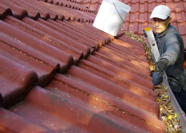 남자는 지붕에 방 구석 청소 - human hand working shovel dirt 뉴스 사진 이미지