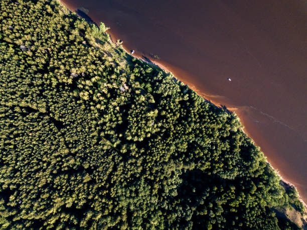 istock Big river. Drone point of view 1038679272