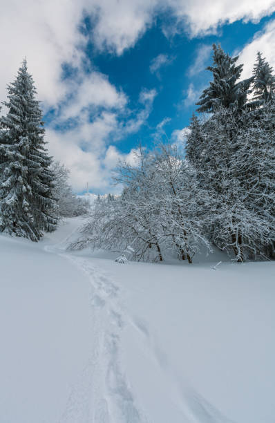 istock Winter mountain snowy landscape 1038692568