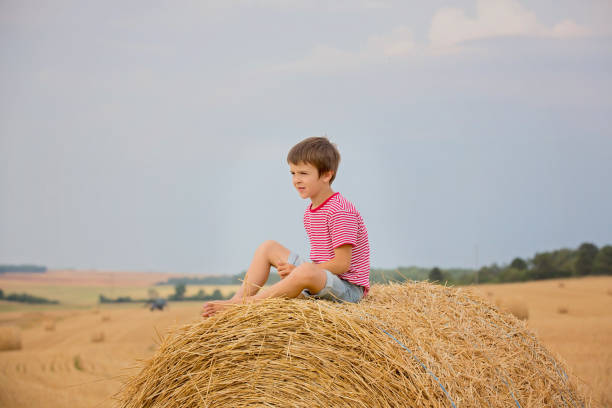 istock Cute preschool boy, sitting on haystack in field on a cloudy day 1038696460
