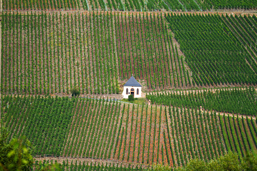 Small chapel in vineyards of Wehlen at Mosel in Rhineland-Palatinate