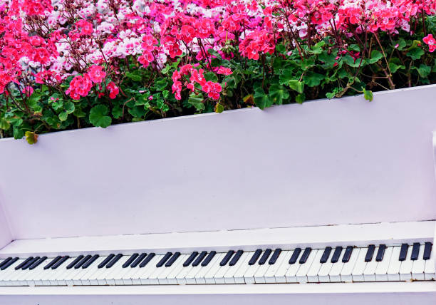 istock Decorative piano with flowers growing out of it. 1038703864