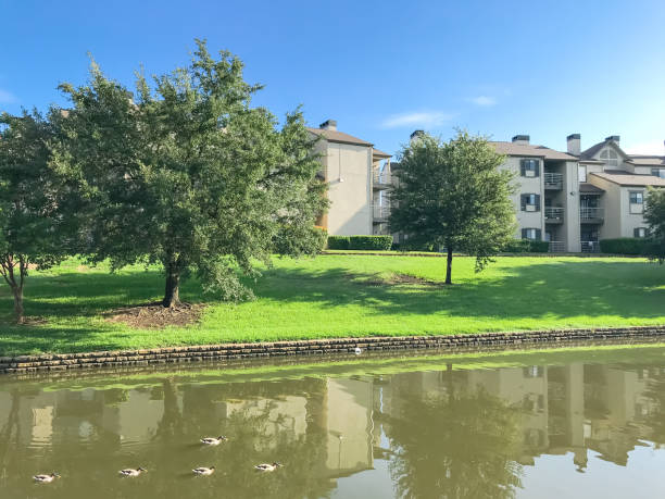 istock Typical multistoried building riverside apartment with ducks swimming 1038710808