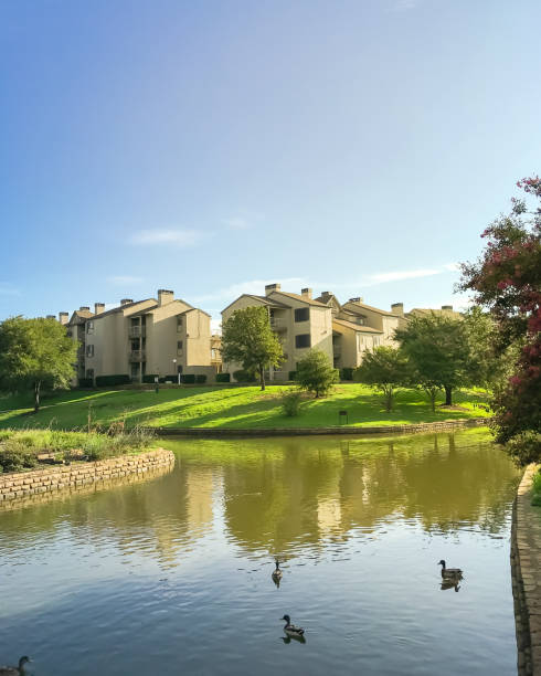 istock Typical multistoried building riverside apartment with ducks swimming 1038711040