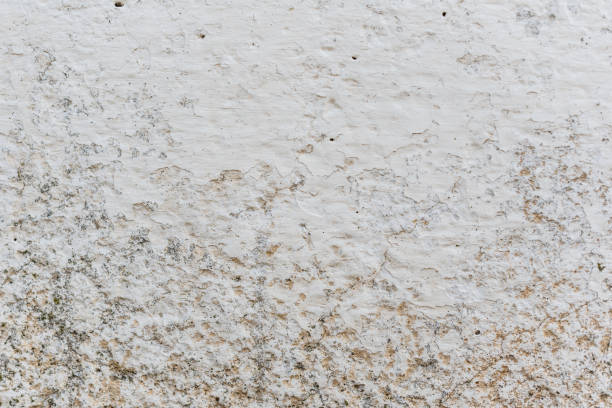istock Wall fragment with attritions and cracks 1038727322