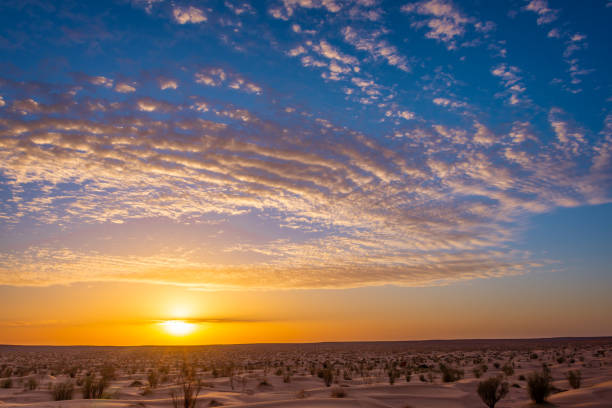 Beautiful morning desert landscape at sunrise with dunes.