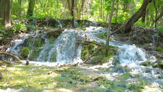 Rapids on the river KRKA in national park, Croatia.