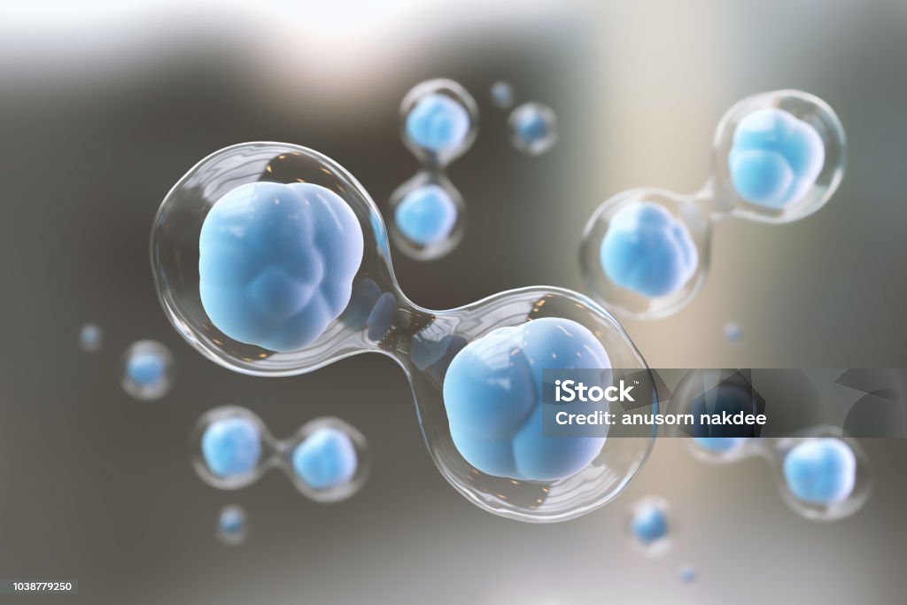 Cellular Therapy and Regeneration, microscope of cell. microscope of cell, Embryonic stem cells, Cellular Therapy and Regeneration 3d illustration Stem Cell Stock Photo